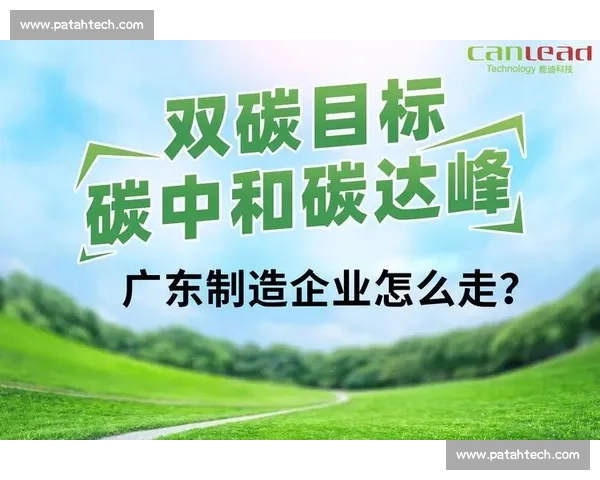 以双碳目标引领绿色转型推动高质量可持续发展新路径现代化建设